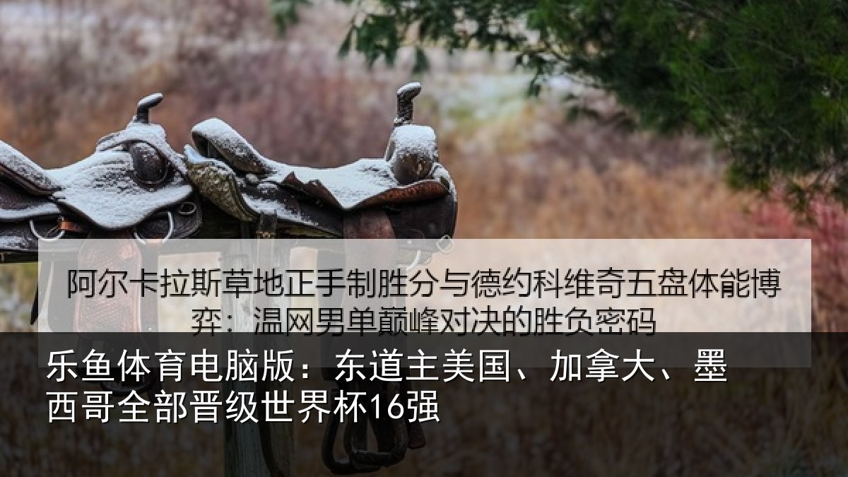乐鱼体育电脑版：东道主美国、加拿大、墨西哥全部晋级世界杯16强