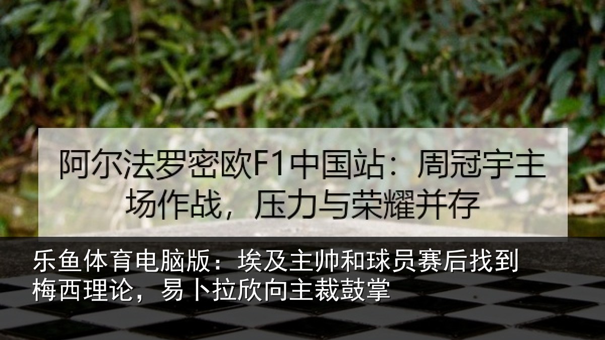 乐鱼体育电脑版：埃及相关情况到梅西理论，易卜拉欣向主裁鼓掌